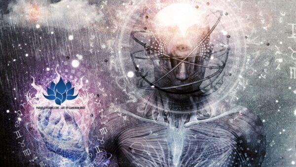 Lotus - the pineal and third eye