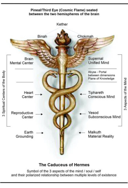 The Caduceus and the kundalini