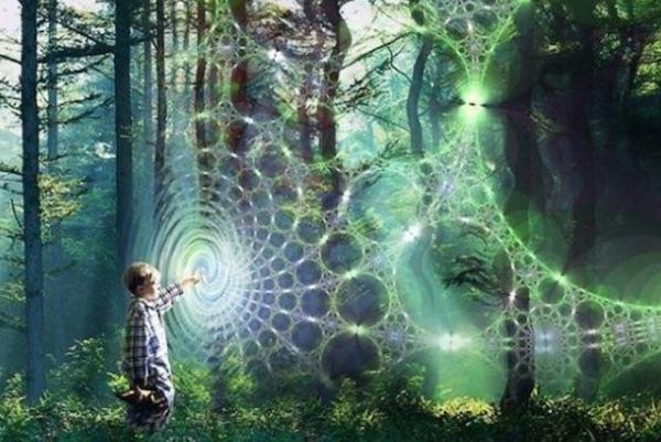 Is reality an illusion