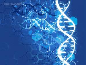 DNA strands of programming