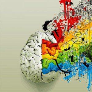 Right and left hemispheres of the brain