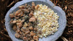 2 Forgotten Healing Herbs of Christmas