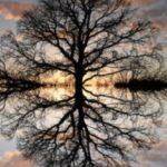 Mirror image as self-reflection