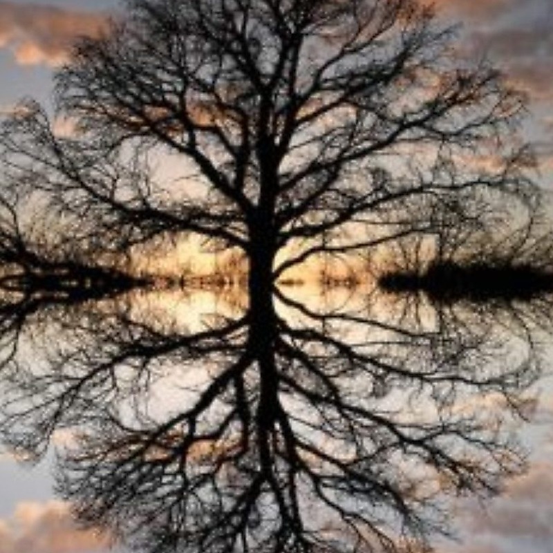 Learning how to Self-Reflect and gain Self-Realization – Dr. Linda Gadbois