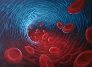 Essence is Consciousness – The Life-Force Inherent in Blood