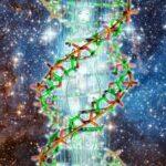 DNA transformation