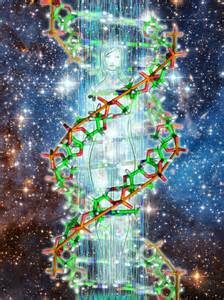 DNA – The Phantom Effect, Quantum Hologram, and the Etheric Body