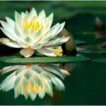 Understanding the True Nature of Loving Yourself as the Prerequisite for Loving Another