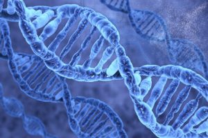 DNA Transformation – The Law of the Tetrad