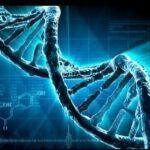 DNA and Self-Creation – Programming Your Biocomputer through Linguistics, Imagined Thoughts, and Meaning