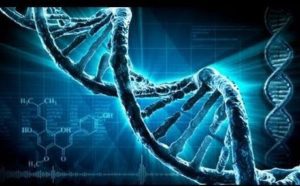 DNA and Self-Creation – Programming Your Biocomputer through Linguistics, Imagined Thoughts, and Meaning