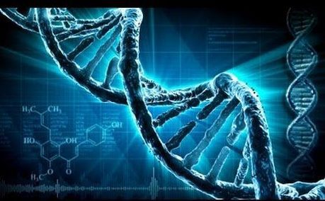 DNA and Self-Creation – Programming our Biocomputer through Linguistics, Imagined Thoughts, and Meaning