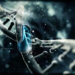 The Relationship Between DNA, the Subconscious Mind, and the Subtle Body