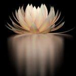 Mental, Emotional, and Physical Purification