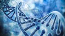 Understanding the Principles for Tuning, Activating, and Transforming our DNA