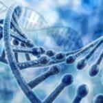 Understanding the Principles for Tuning, Activating, and Transforming our DNA