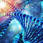 DNA Matrix