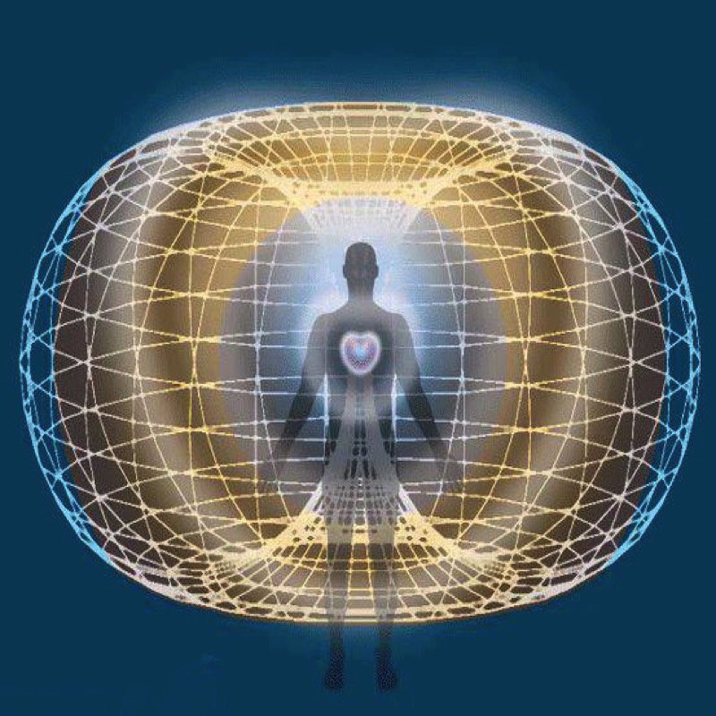 Toroidal field of the mind