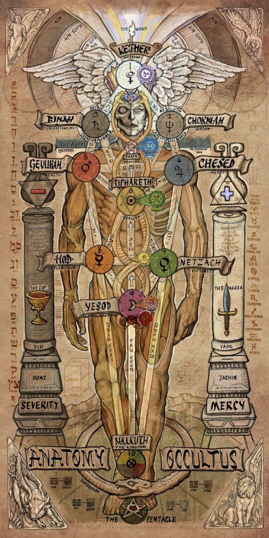 Occult Anatomy and Kabbalah Tree of Life