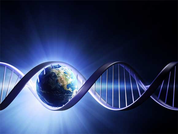 Our world born out of our DNA