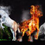 4 elements