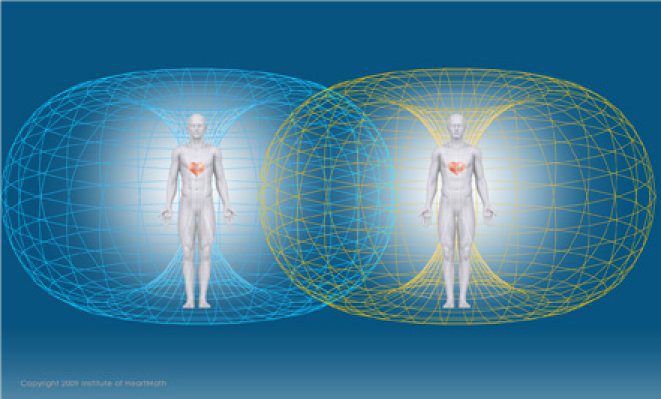 two toroidal energy fields interacting