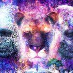 dual nature of the mind and soul