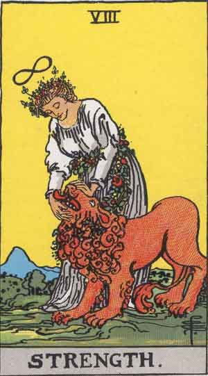 8 - the Strength card of the Tarot