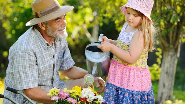 Little girl watering flowers with grandpa