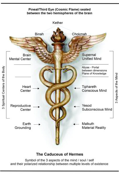 The Caduceus and the kundalini 