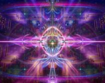 Learning how to Operate your Own Mind – The Power of Questions, Wondering, and Curiosity