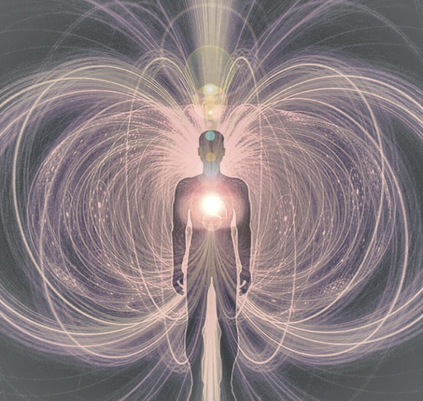 The toroidal energy field of the mind and body