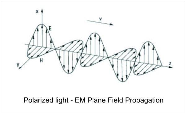 Polarized Light - EM Plane Field Propagation