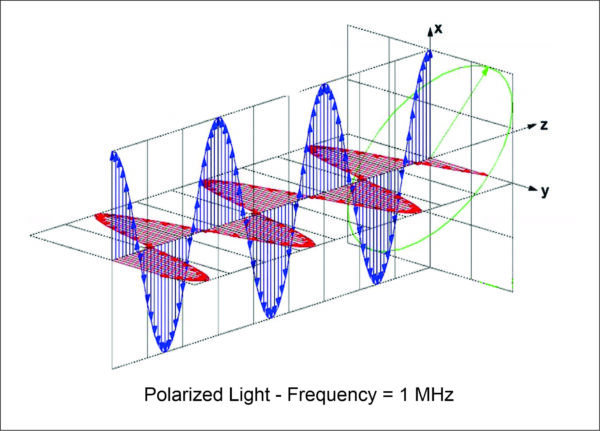 Polarized Light as a frequency that propagates through space