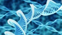 Programming our DNA – A Practical Interpretation of Scientific Observation and Data