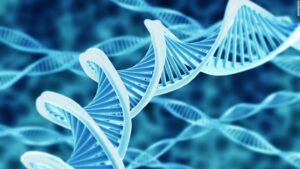 Programming Our DNA – A Practical Interpretation of Scientific Observation and Data