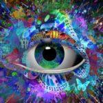 Imagination